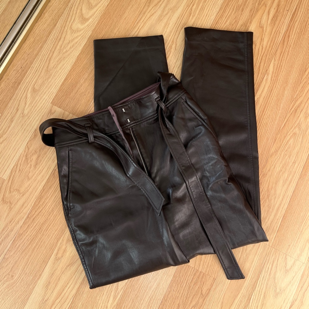 Faux Leather Pants by Aritzia (Babaton)